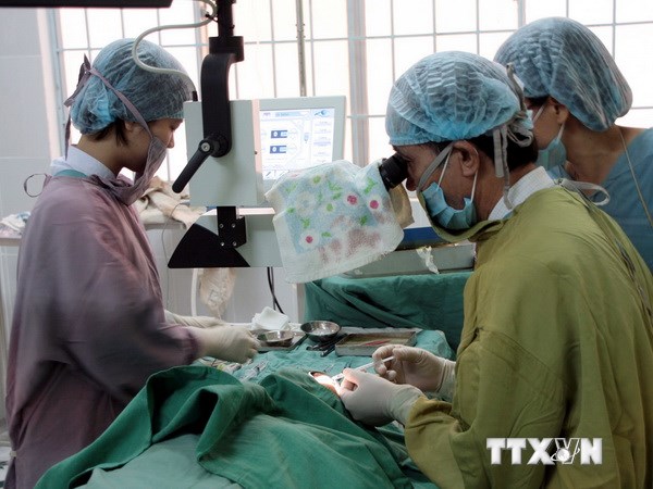 Cấy ghép tế bào gốc phôi người để điều trị suy giảm thị lực